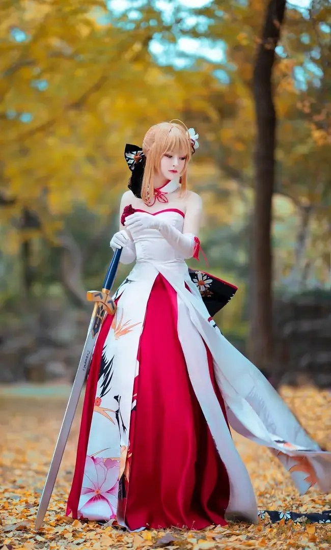 FATE-GRAND ORDER至少将这场没有被实现的梦  目睹到最后