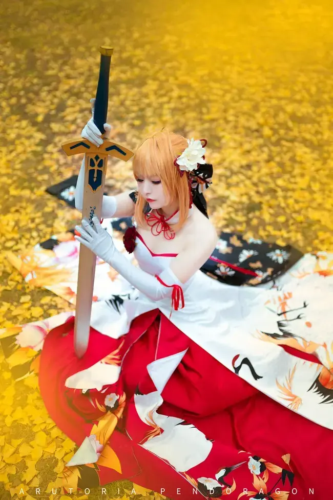 FATE-GRAND ORDER至少将这场没有被实现的梦  目睹到最后