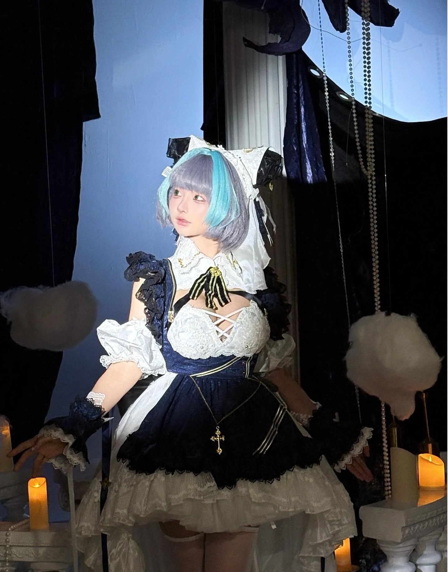 猫猫写真